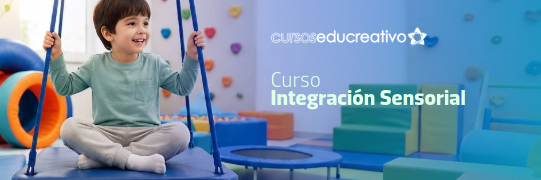 Integración Sensorial