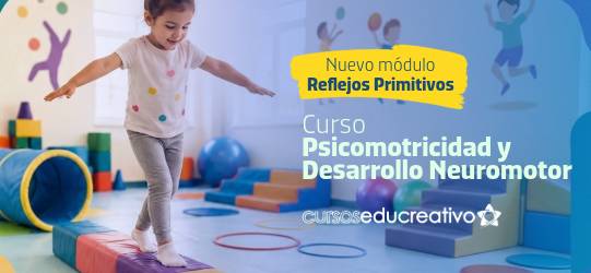 Psicomotricidad y Desarrollo Neuromotor